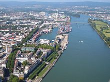 Bild 2 - Baumfllung in Mainz am Rhein Altstadt finden